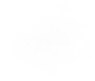 Light mist
