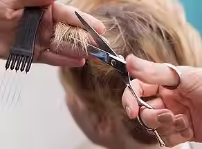 Cosmetology.avif