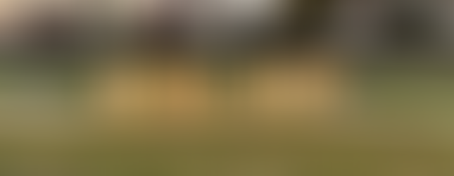 Gender Reveal Event Decor marquee letters that say "GIRL BOY"