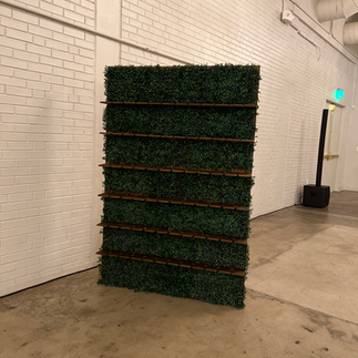 Champagne Grass wall event decor rental Charlotte NC