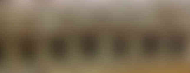 Champagne Wall with LED lights