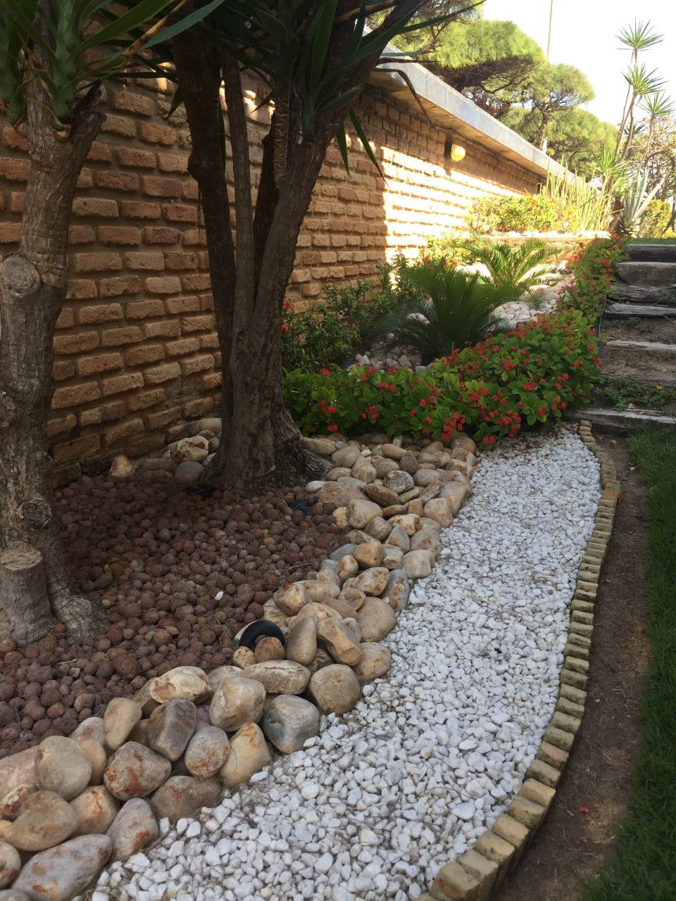 jardim