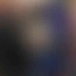 Ciccio con cappellino rosso di natale addobba l'albero