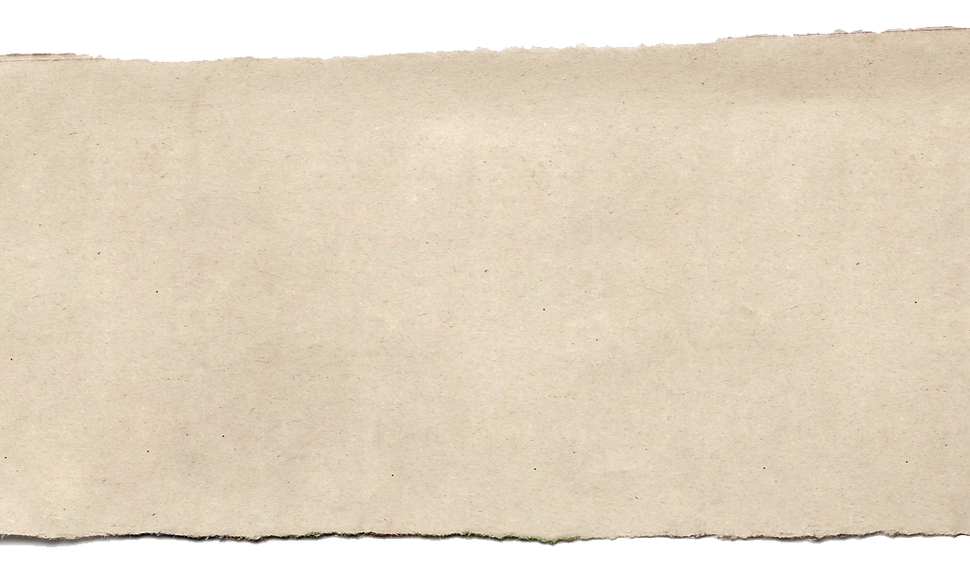 paper roll