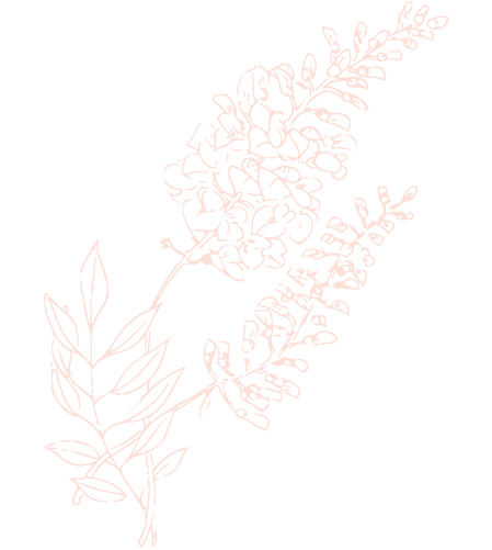 Wisteria2.png