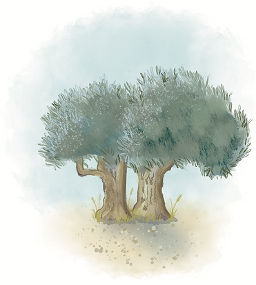 olivo-digital.png