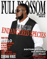 Issue 41 Cover.jpg
