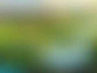 Through Europe's Last Wilderness: An Epic Hike Through Sarek, Padjelanta and Rago National Parks.