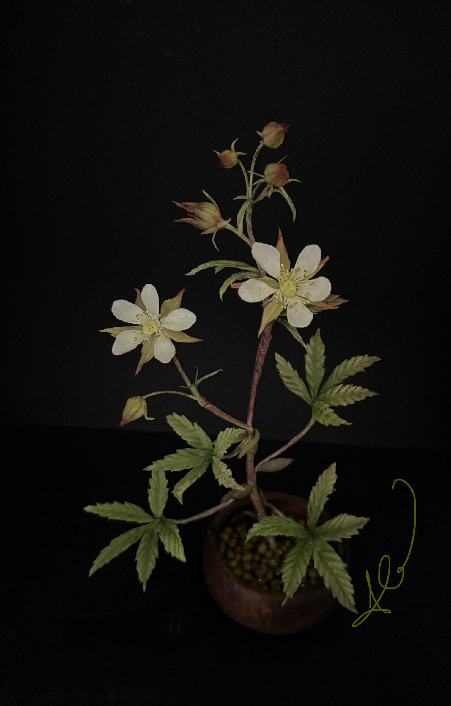 Cinquefoil - Online Class 