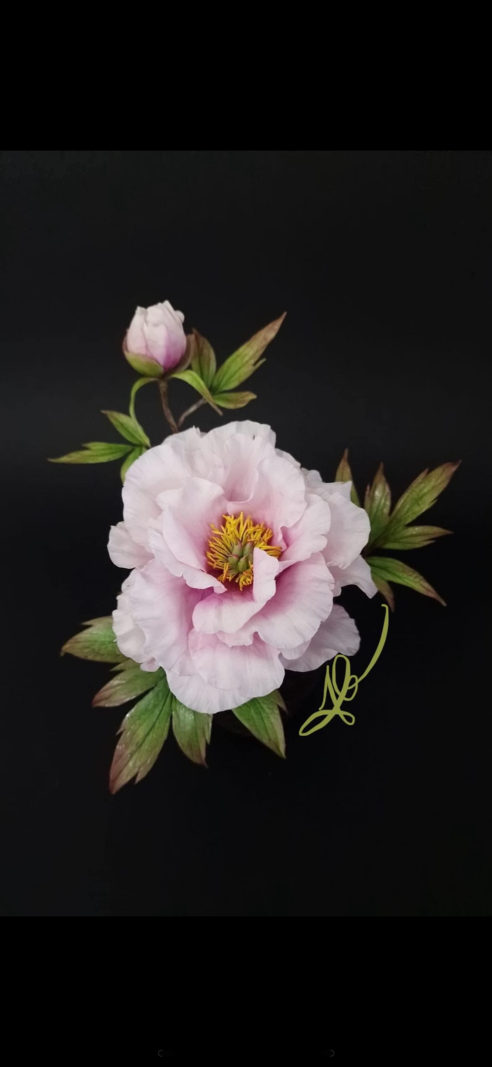 Thumbnail: Summer Florals - 6 online classes 