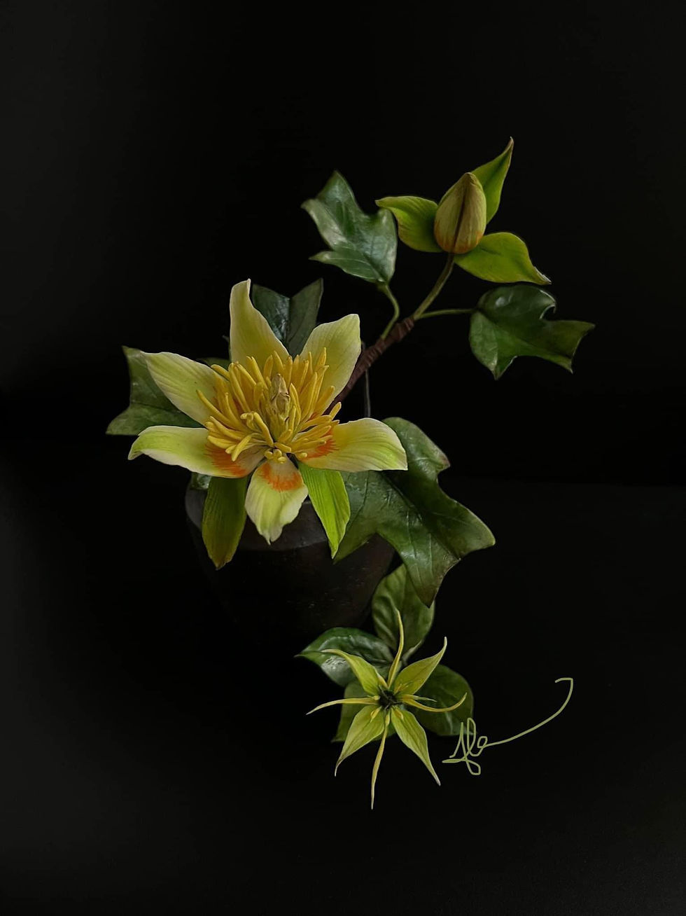 Tulip Tree and Herb Paris Online Class 