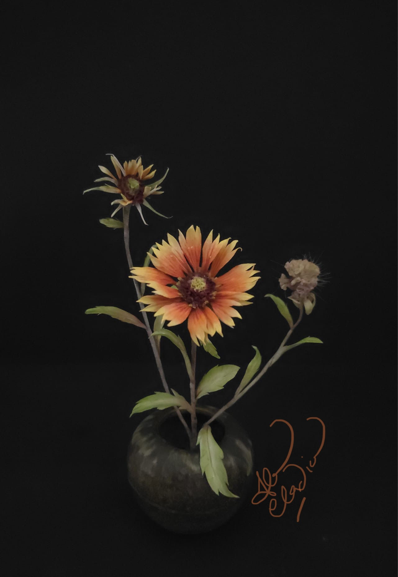 Indian Blanket Flower - Online Class 