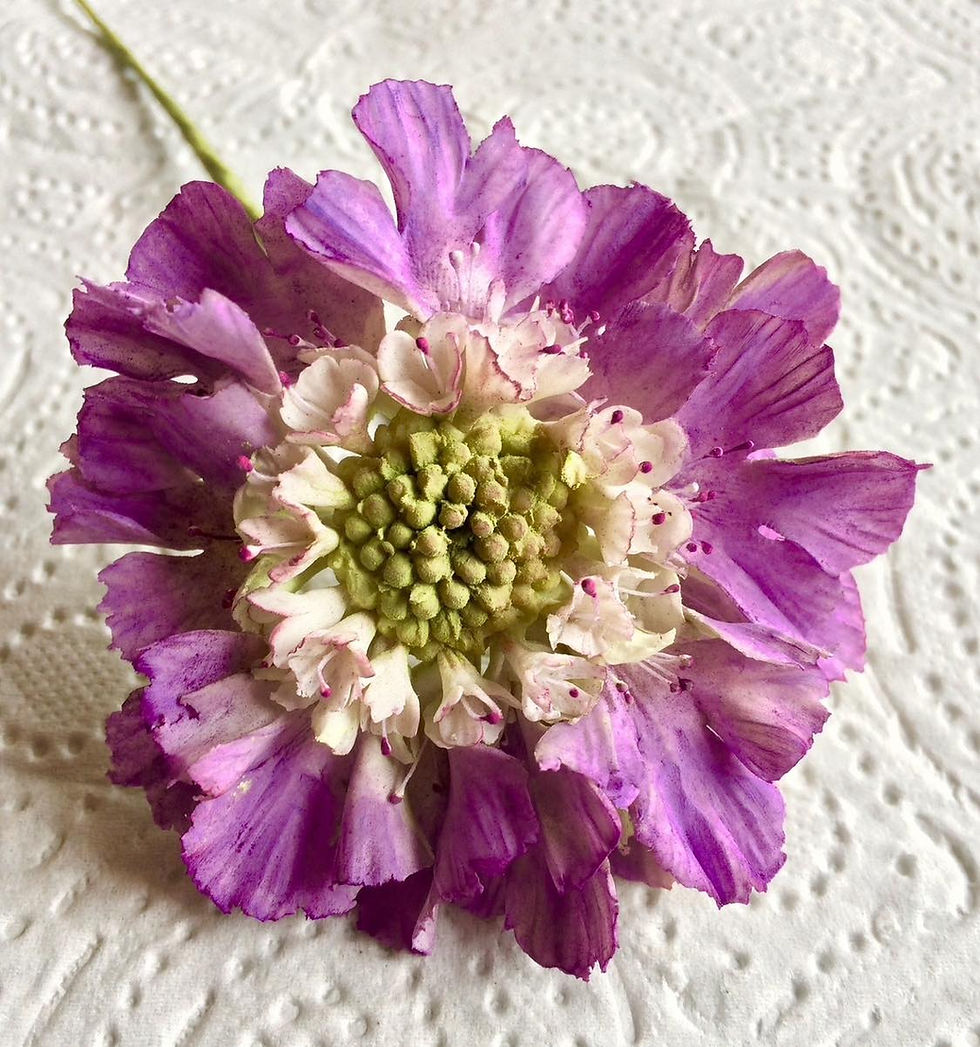 Thumbnail: Scabious Flower-Online Class 