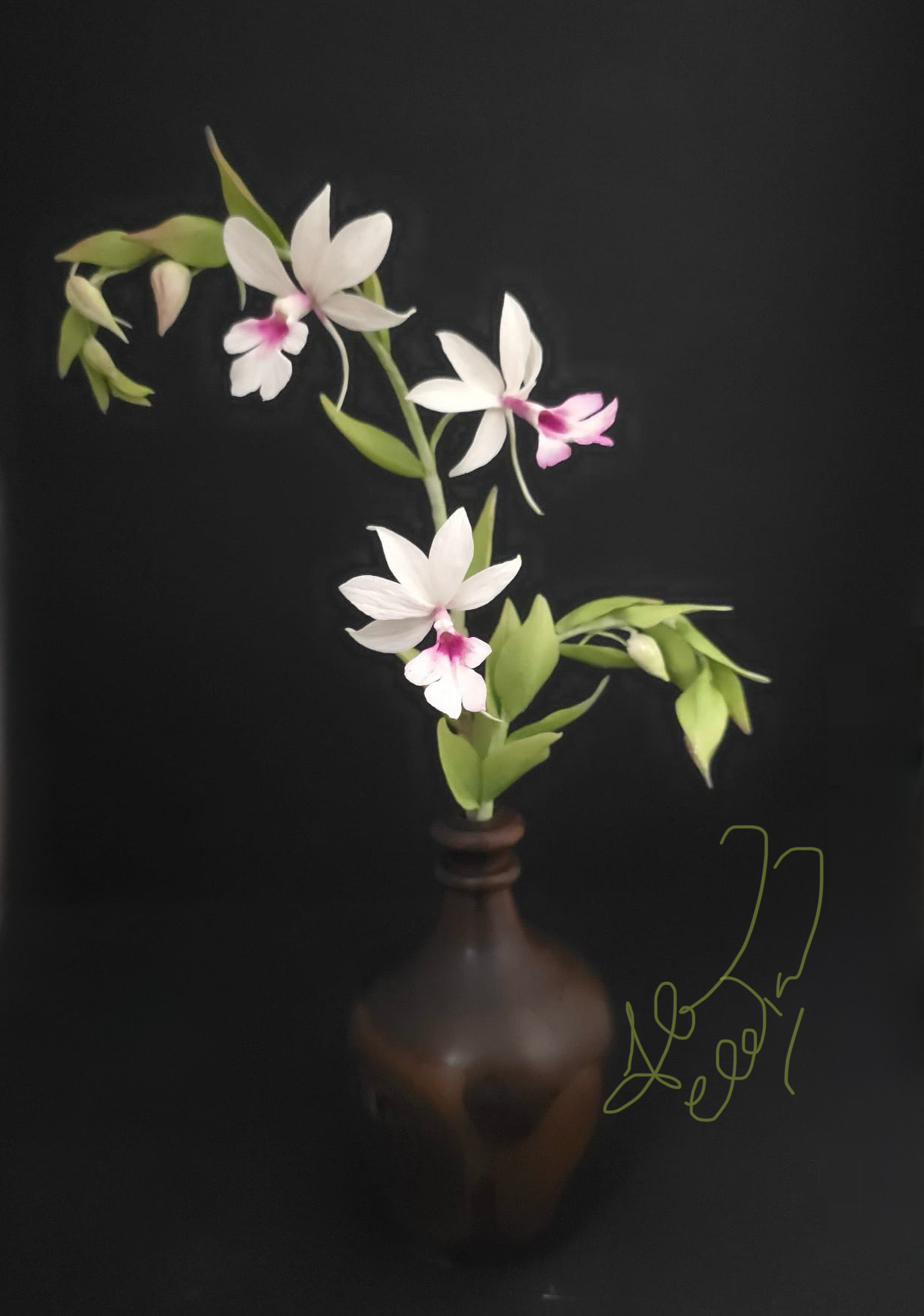 Calanthe Orchid - Online Class 