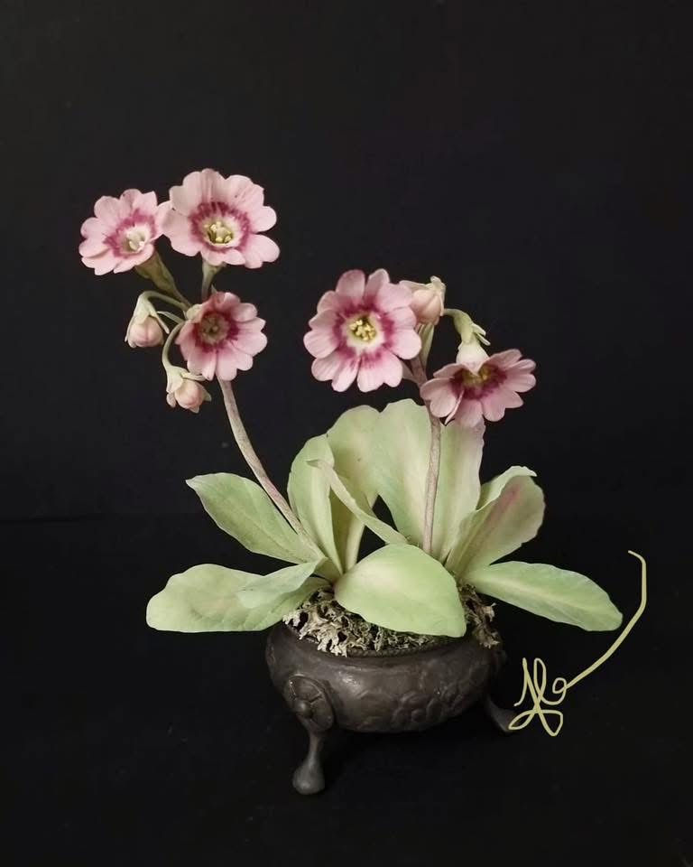 Thumbnail: Two Classes - Double and Single Primula Auricular - Online Class 