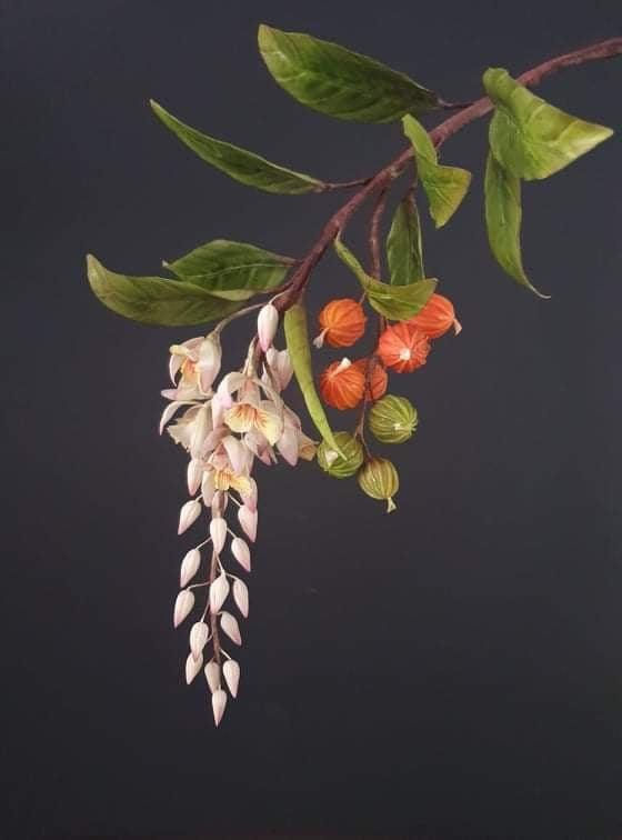 Thumbnail: Torch Ginger and Shell Ginger Flowers and Fruit -Online Class 