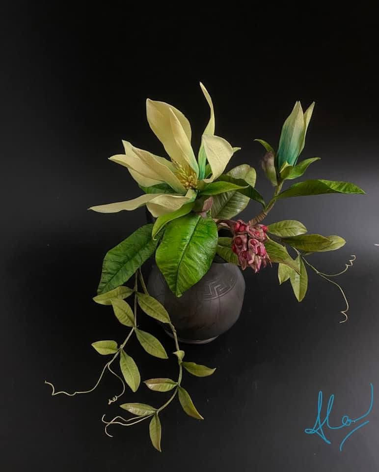 Thumbnail: Three varieties of Magnolia plus Seedpod - Online Class 