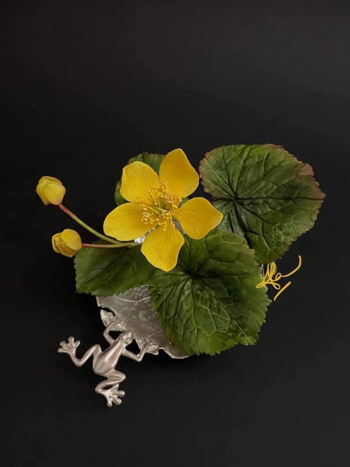 Thumbnail: 4 class bundle - Tropical Waterlily, Water Hyacinth etc 