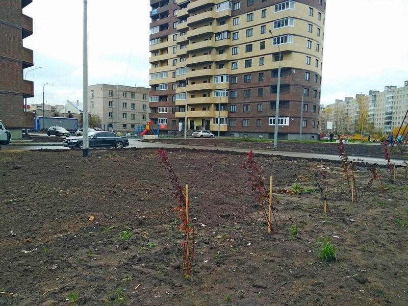 Октябрь 2020