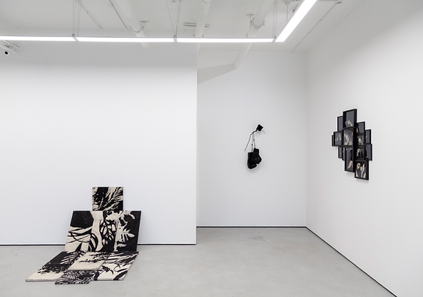 Screenshot 2025-09-22 at 17.20.31.png