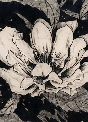 Screenshot 2025-09-22 at 17.19_edited.jpg