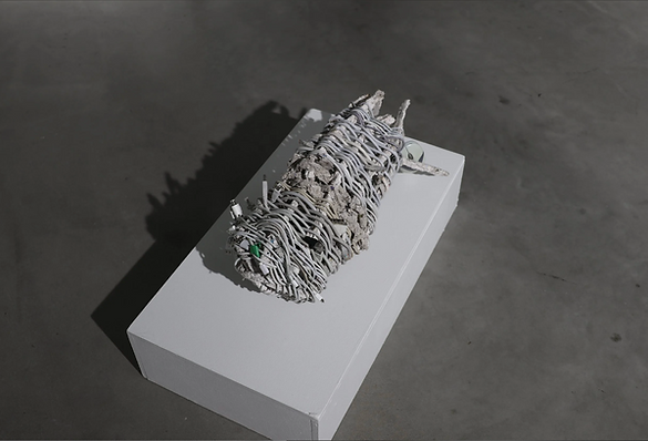 Screenshot 2025-09-27 at 11.58.32.png