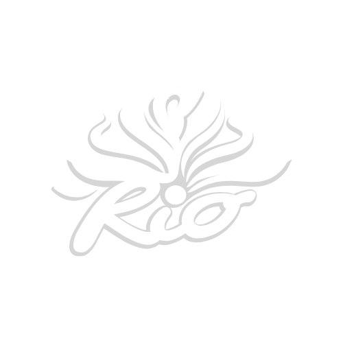 16.png
