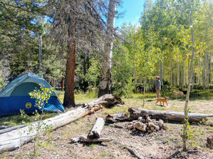 Camp set up near the Grand Canyon National Park