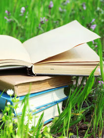 Stack of books in grass during summer.