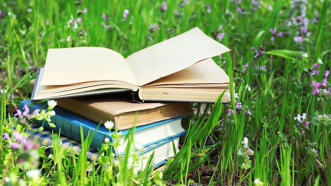 Staff Picks: 5 Books to Add to Your Summer Reading List from The Bookstore at The Whyte