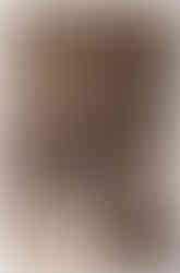 Gallery 2 Image 7, Image 7: [Elliott Gould throwing a snowball during the filming of Vanishing Act in Banff], 1986, (V190 / VI / M / x / k / PA – 62)