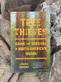 Book Review - Tree Thieves: Crime and Survival in North America's Woods by Lyndsie Bourgon