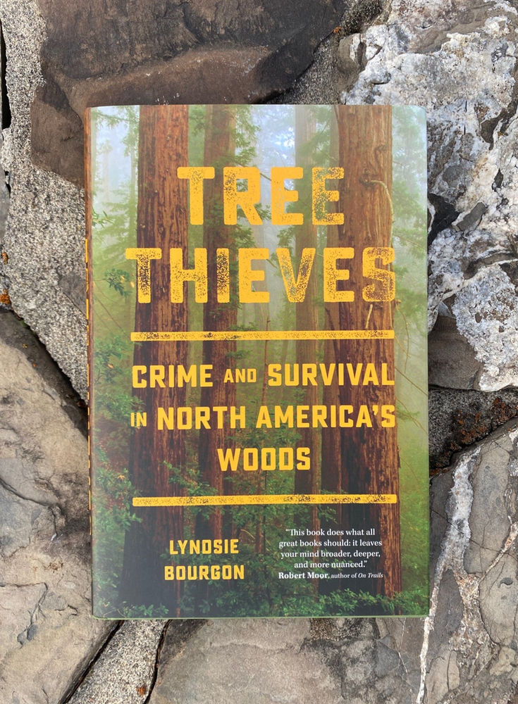 Book Review Tree Thieves Crime and Survival in North America's Woods
