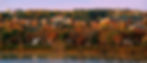 UNIVERSITY OF NEW BRUNSWICK