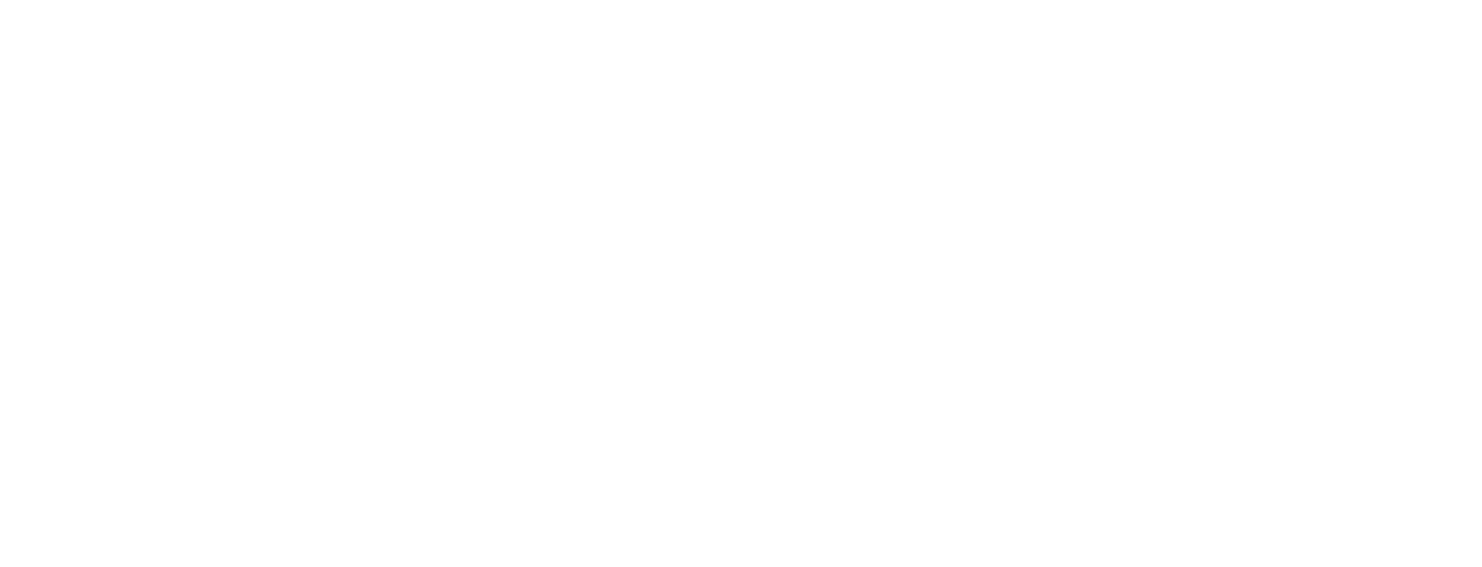 NISI GROUP Logo