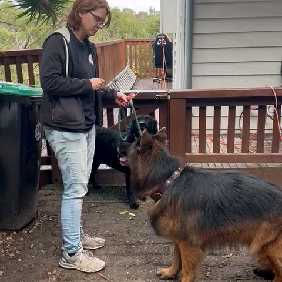 Female person facing a brown long haired dog standing in front of them looking at them. 