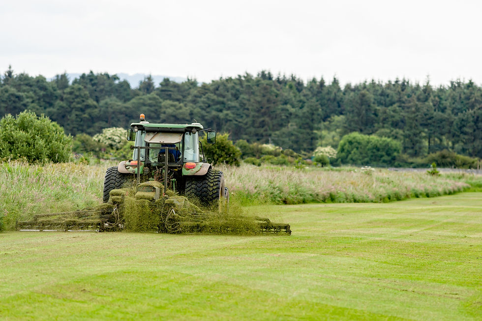 Commercial Lawn Moving Services Brisbane