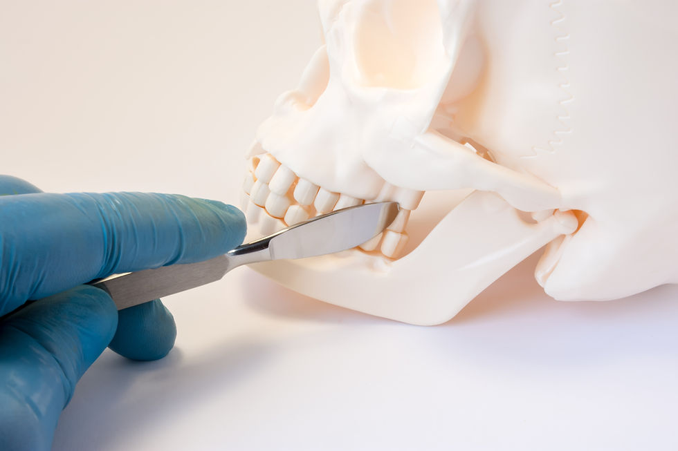 Gloved hand using scalpel on skull model, TMJ analysis