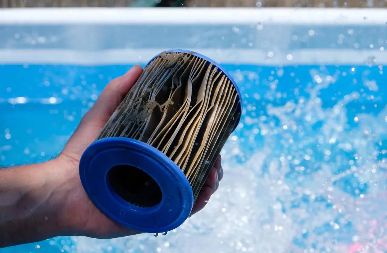 dirty pool filter cartridge