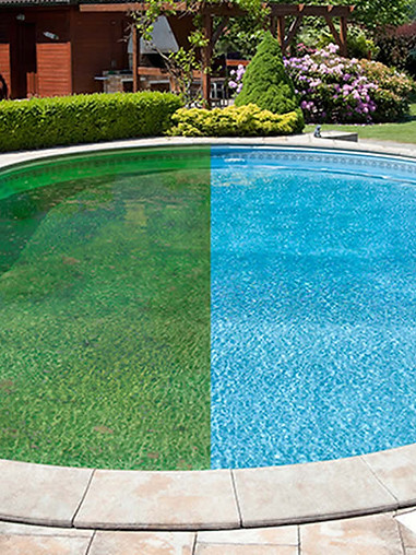 Green to clean pool transformation - before and after algae removal service