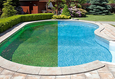 Green to clean pool transformation - before and after algae removal service