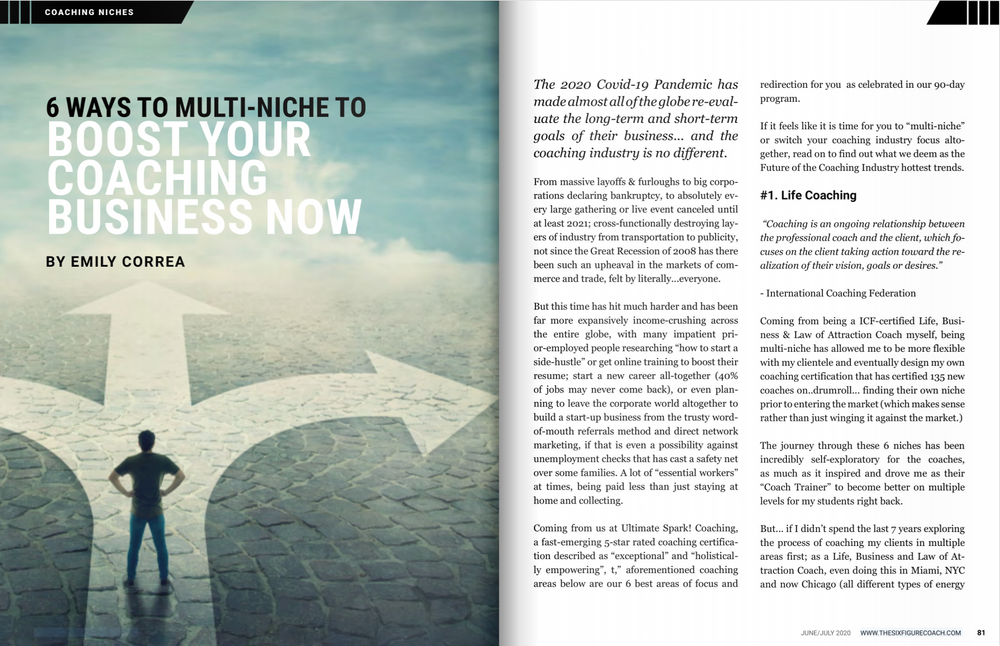 6 Ways To Multi Niche To Boost Your Coaching Business Now Six Figure Coaching Magazine Feature