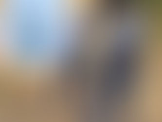 Funkcjonalne Przygotowanie Strzeleckie (#FPS)