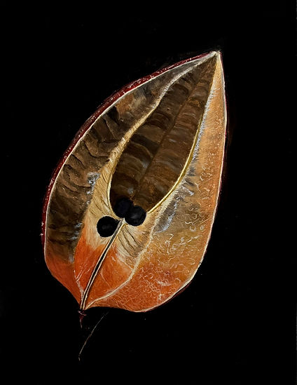 Estella Gonzalez.jpeg