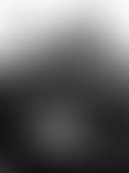 Eiffel Tower Under Carriage