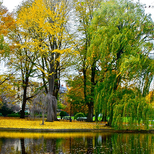 Boston