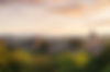 shutterstock_2365515285.jpg
