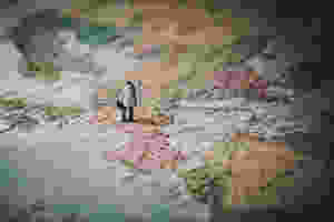 Travel Agent