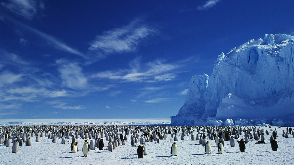 Antarctica