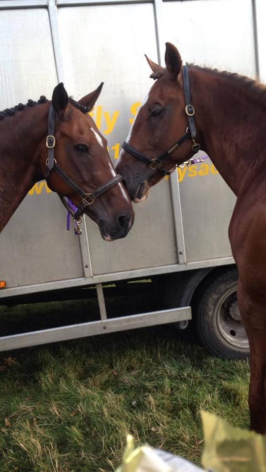 Eventing Results: Chilham Castle July 30, 2016